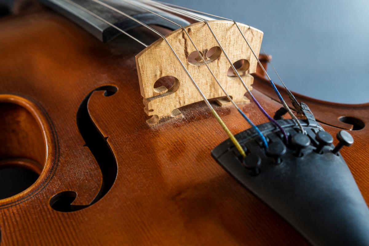 Violin bridge and strings in studio light